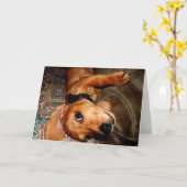 Dackel Pet Puppy Karte (Gelbe Blume)
