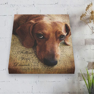 Dackel Portrait Leinwand Wrap