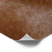 Dackel Poster (Ecke)