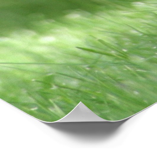 Dackel Poster (Ecke)