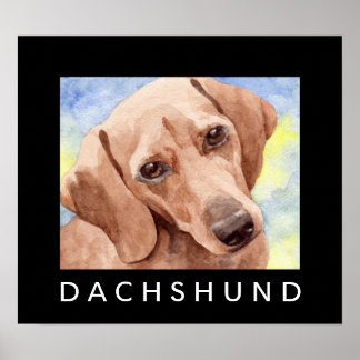 Dackel Poster