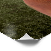 Dackel Poster (Ecke)