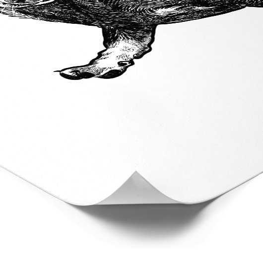 Dackel Poster / Wall Art (Ecke)