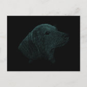 Dackel Postkarte (Vorderseite)