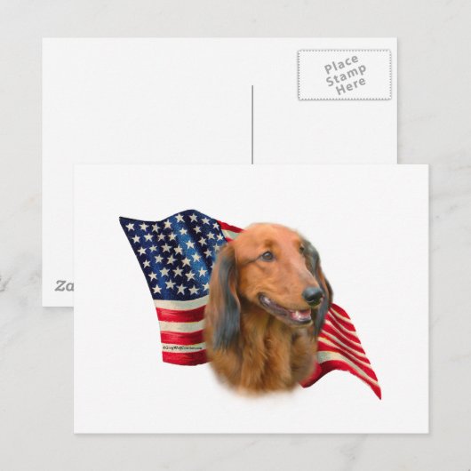 Dackel Postkarte (Vorne/Hinten)