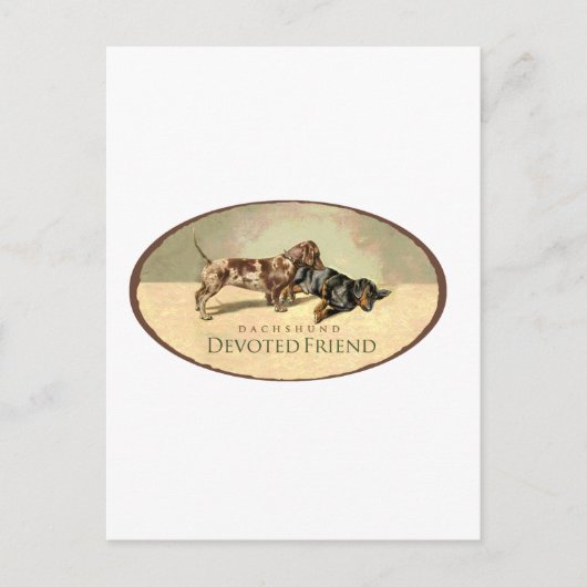 Dackel... Postkarte (Vorderseite)
