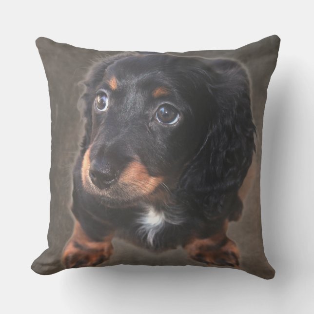 Dackel Puppy Foto Custom Pillow Kissen (Vorderseite)