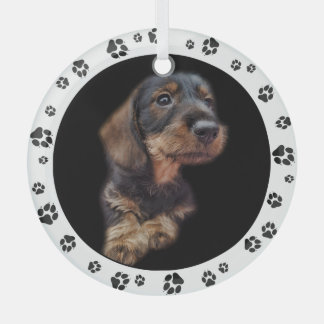 Dackel Puppy Foto Paw Prints Ornament Aus Glas