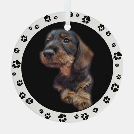 Dackel Puppy Foto Paw Prints Ornament Aus Glas (Rückseite)