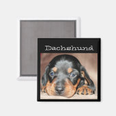 Dackel Puppy Magnet (Vorderseite/Rückseite)