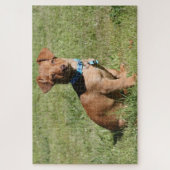Dackel Puppy Puzzle (Vertikal)