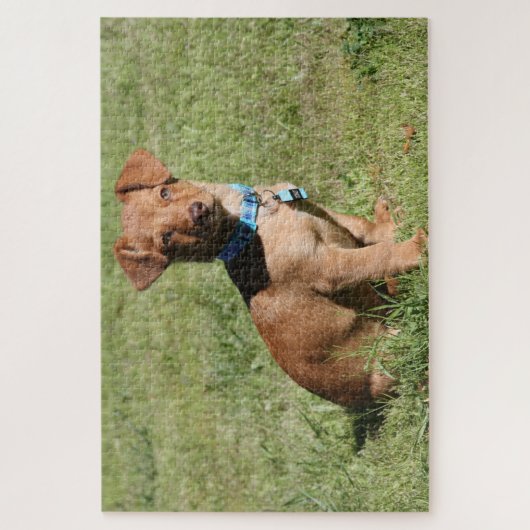 Dackel Puppy Puzzle (Vertikal)