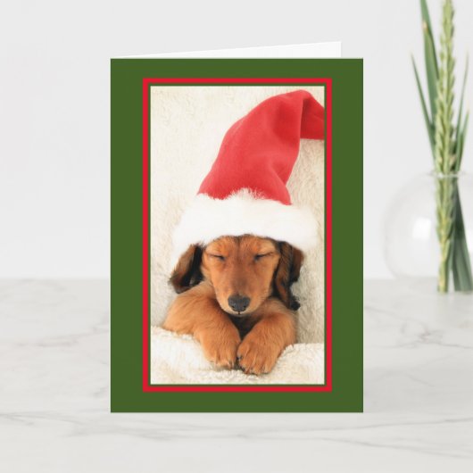 DACKEL PUPPY SLEEPING CHRISTMAS CARD FEIERTAGSKARTE (Vorderseite)