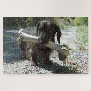Dackel Puzzle
