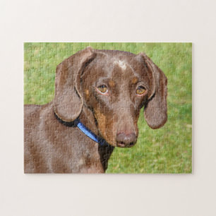 Dackel Puzzle