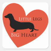 Dackel Quadratischer Aufkleber (Vorderseite)