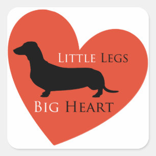 Dackel Quadratischer Aufkleber