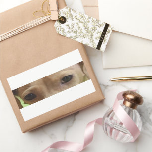 Dackel Rechteckiger Aufkleber