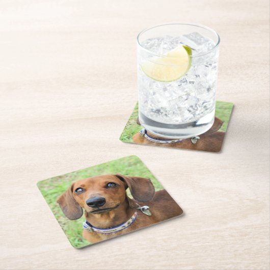 Dackel Rechteckiger Pappuntersetzer (Vor Ort)