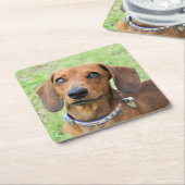 Dackel Rechteckiger Pappuntersetzer (angewinkelt)