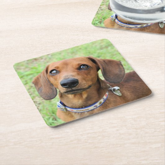 Dackel Rechteckiger Pappuntersetzer (angewinkelt)