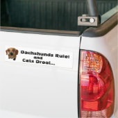 Dackel-Regel! und Katzen-Geifer… Autoaufkleber (Auf Lkw)