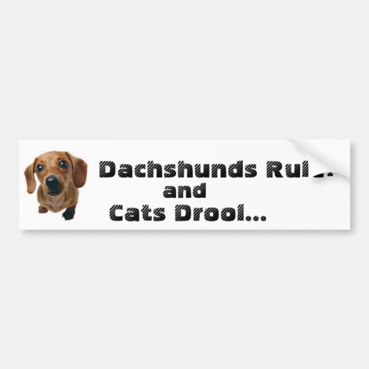 Dackel-Regel! und Katzen-Geifer… Autoaufkleber (Vorne)