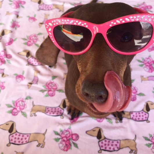 Dackel Rosa Blumenkohl Dackel Hunde Liebe Fleecedecke