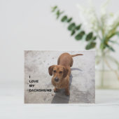 Dackel Rote Liebe Postkarte (Stehend Vorderseite)