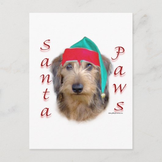 Dackel Santa Paws Feiertagspostkarte (Vorderseite)