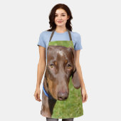 Dackel Schürze (Getragen)