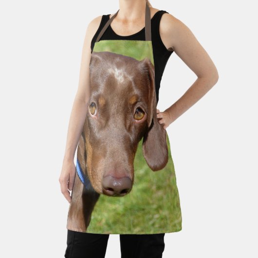 Dackel Schürze (InSitu)