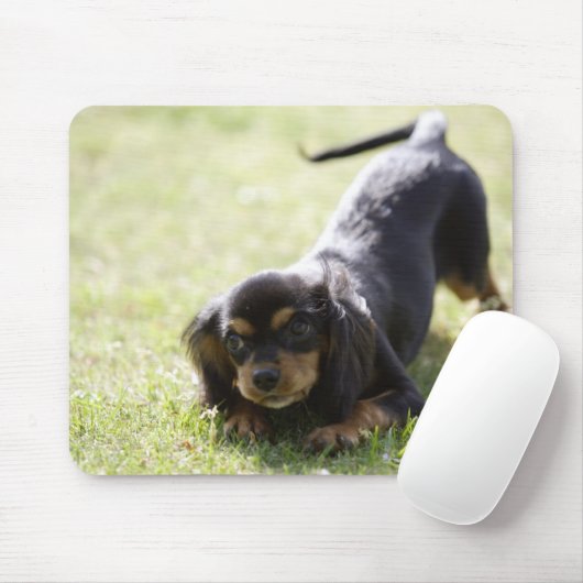 Dackel (schwarz) 2 mousepad (Mit Mouse)