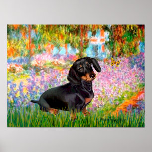 Dackel (schwarz und braun 16) - Garten Poster