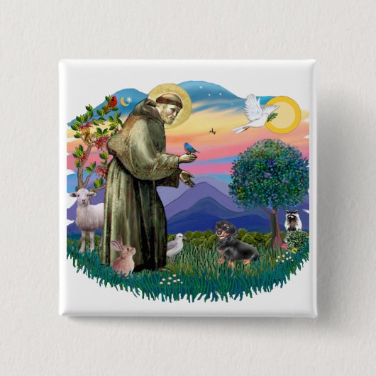 Dackel (schwarz und braun) button (Vorderseite)