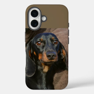 Dackel schwarz und braun iPhone 16 hülle