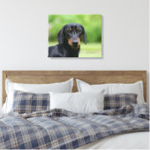 Dackel "Schwarz und Tan" 1 Leinwanddruck (Insitu (Schlafzimmer))