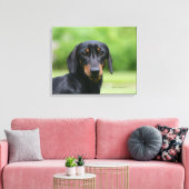 Dackel "Schwarz und Tan" 1 Leinwanddruck (Insitu (Wohnzimmer))