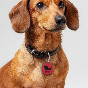 Dackel-Sicherheitskennzeichnungen Dackel Hundeschi Haustiermarke