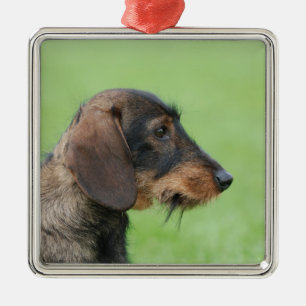 Dackel Silbernes Ornament