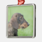 Dackel Silbernes Ornament (Links)