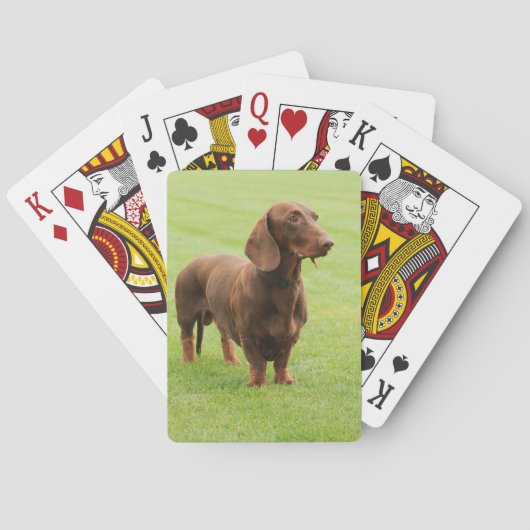 Dackel Spielkarten (Rückseite)
