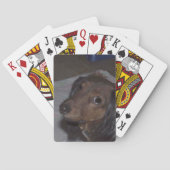 Dackel Spielkarten (Rückseite)
