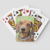 Dackel Spielkarten (Rückseite)