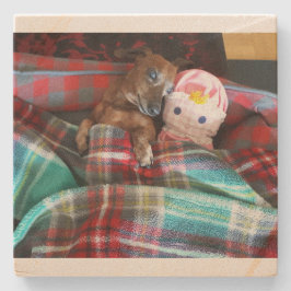 Dackel Stone Untersetzer