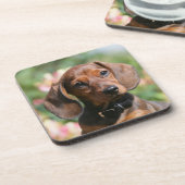 Dackel TANs Miniture Getränkeuntersetzer (Linke Seite)