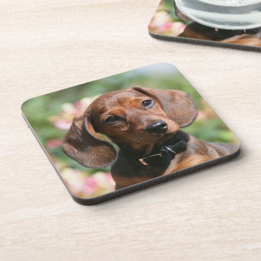 Dackel TANs Miniture Getränkeuntersetzer (Linke Seite)