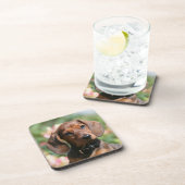 Dackel TANs Miniture Getränkeuntersetzer (Rechte Seite)