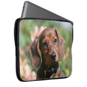 Dackel TANs Miniture Laptopschutzhülle (Vorne Rechts)