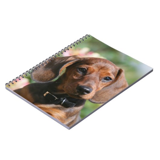 Dackel TANs Miniture Notizblock (Linke Seite)